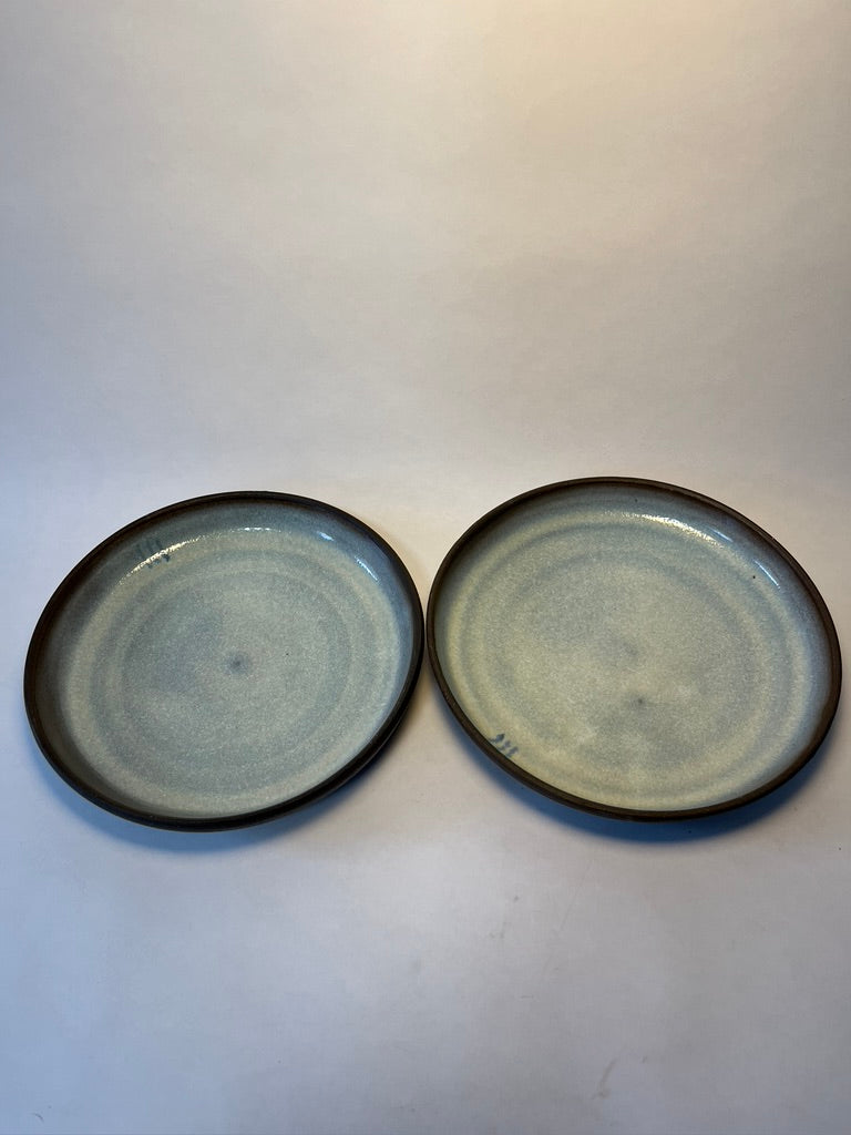 set of 2 dinner plates